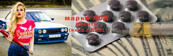 прущие грибы Приозерск