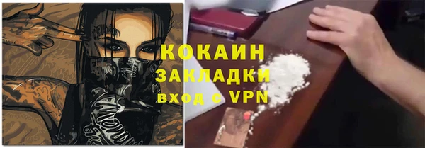 сатива Ессентукская