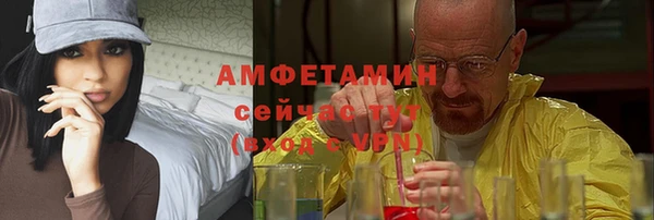 дмт Протвино