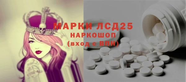 сатива Ессентукская