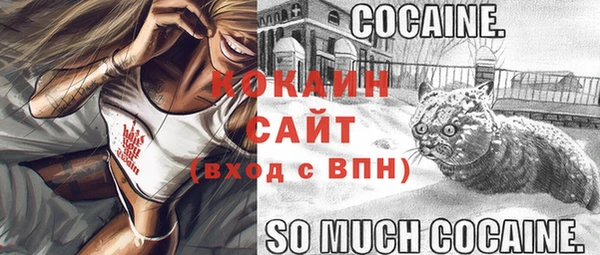 дмт Протвино