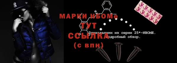 прущие грибы Приозерск