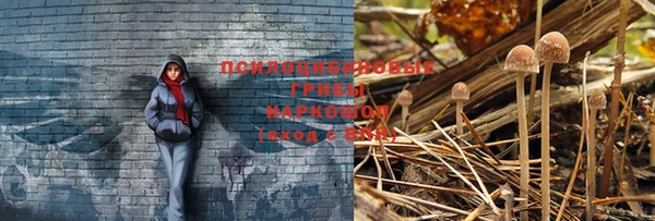 дмт Протвино