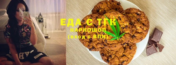 дмт Протвино