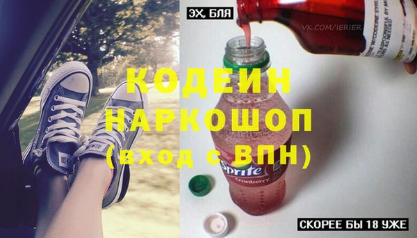 прущие грибы Приозерск