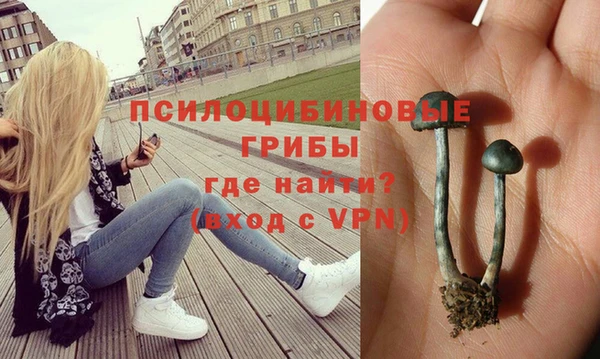 прущие грибы Приозерск