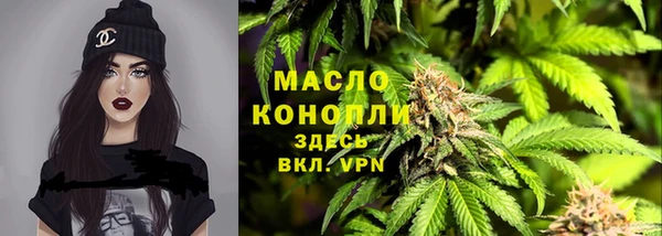 дмт Протвино
